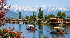 Srinagar view